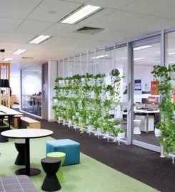 ILSC Sydney