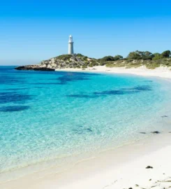 Lexis English Perth