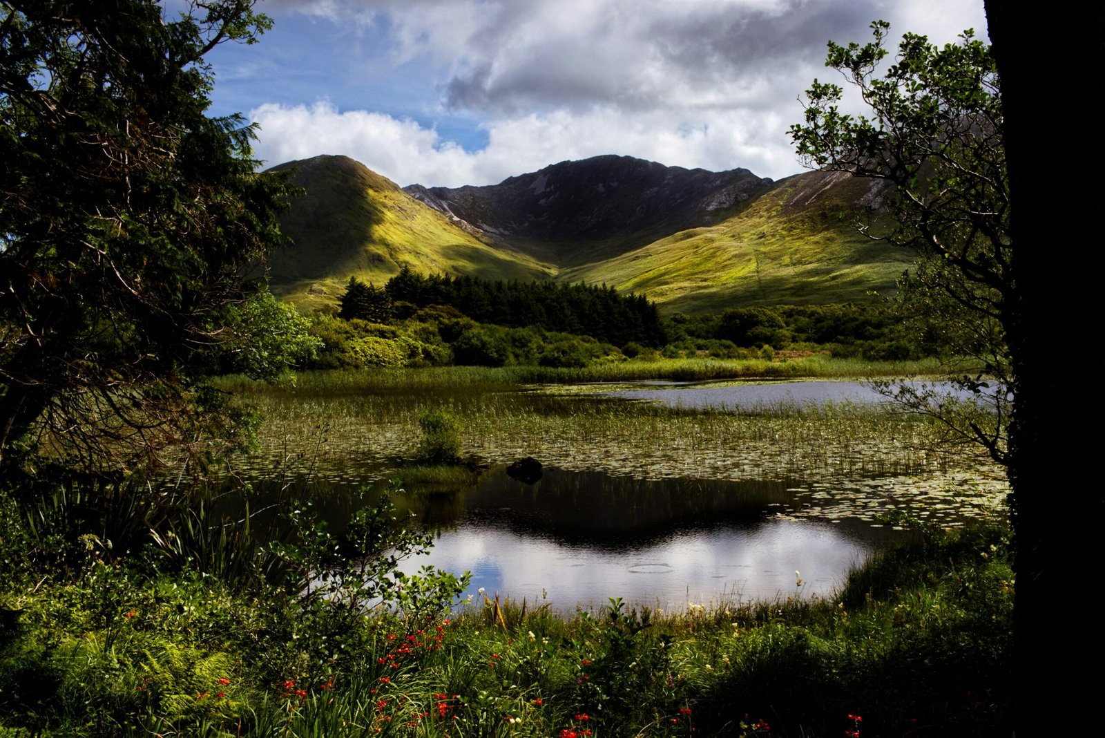 a lake surrounded by hills